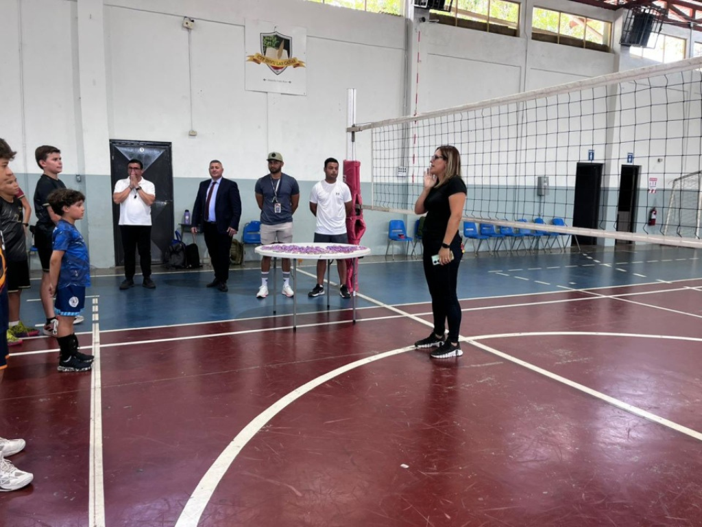 Voleibol