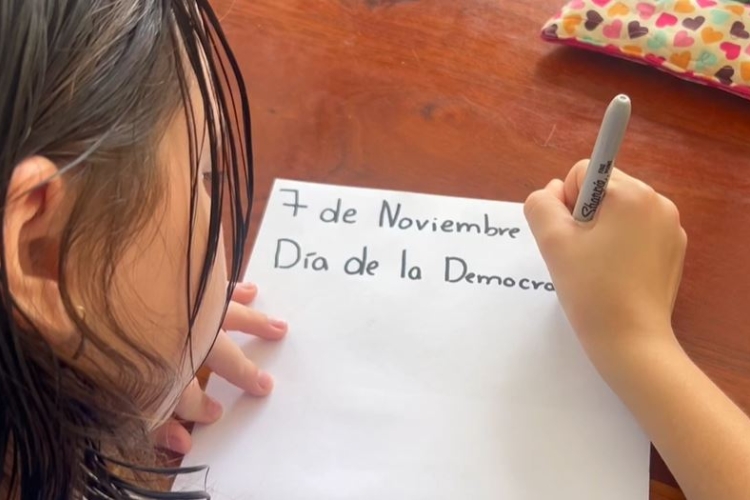 Dia de la Democracia Costarricense, 7 noviembre