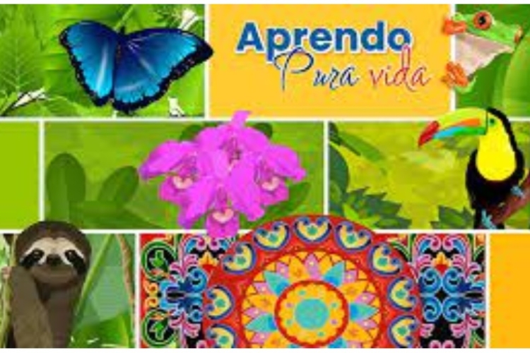 Mariposa y carreta tipica