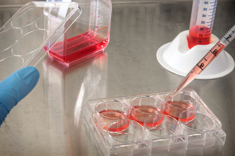 Envases de vidrio con un liquido rojo en un laboratorio químico