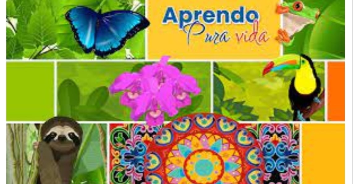 Mariposa y carreta tipica
