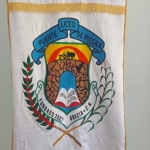 Estandarte Institucional