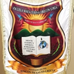 Estandarte Institucional