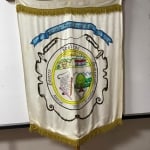 Estandarte institucional 