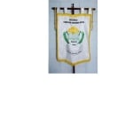 Estandarte Escuela Timoleon Morera