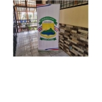 Estandarte de la escuela