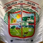 Estandarte institucional 
