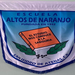 Estandarte institucional 
